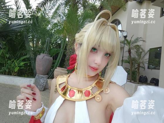 puypuy 这次的最新puypuy套图——Zelda!我的天,画风突变!